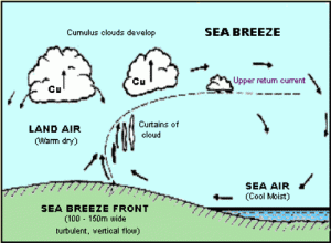 seabreeze